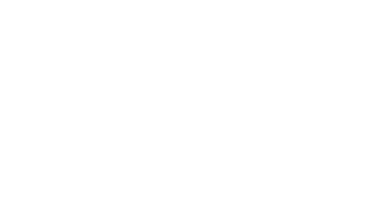 SEAC E.S.Co. Logo